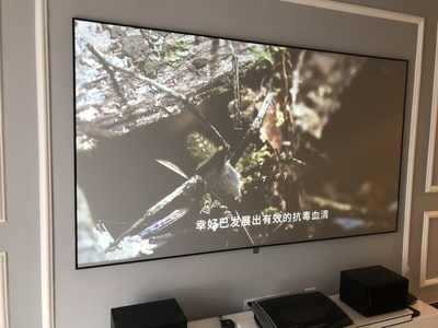 坚果投影仪最大画面可以投多大