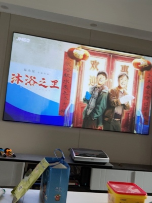 坚果v9和v10哪个型号效果好