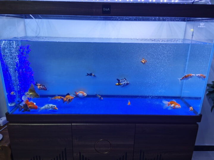 德克鱼缸增氧泵怎么样