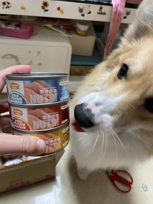 󸻵èǮһʮ