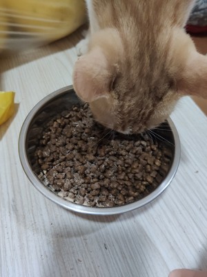 󸻵èͺèĸ
